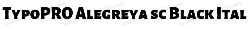 TypoPRO Alegreya sc Black Italic字体转换